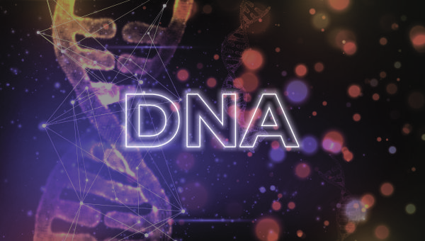 DNA